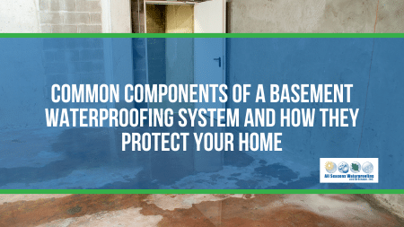 Common Components of a Basement Waterproofing System and How They Protect Your Home
