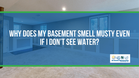 Why Does My Basement Smell Musty Even If I Don’t See Water?