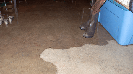 What Does a Basement Waterproofing System Actually Include?