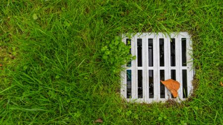 Basement Waterproofing Systems vs. Yard Drainage: Which Do I Need?