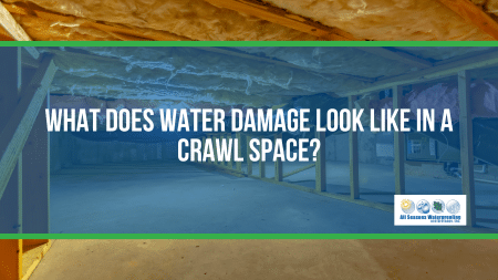 What Does Water Damage Look Like in a Crawl Space?
