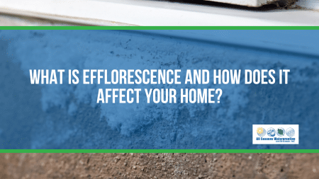 What Is Efflorescence and How Does It Affect Your Home?
