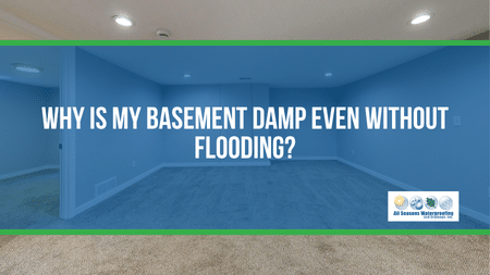 Why Is My Basement Damp Even Without Flooding?