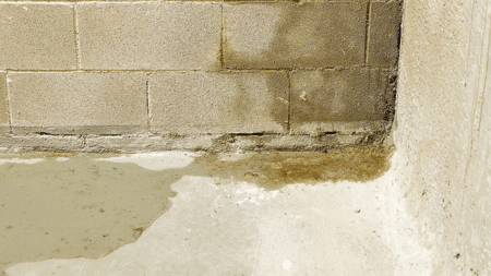 Why Is Water Coming In Where the Wall Meets the Floor?
