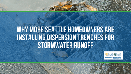Why More Seattle Homeowners Are Installing Dispersion Trenches for Stormwater Runoff