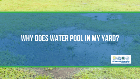 Why Does Water Pool in My Yard?