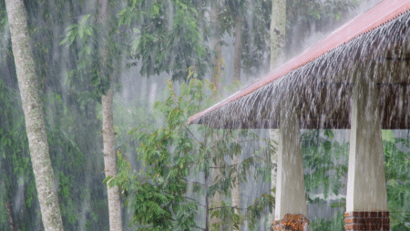What We Look For During Every Drainage Inspection