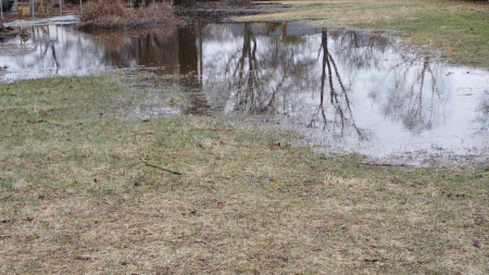 Can a French Drain Fix a Soggy Lawn?