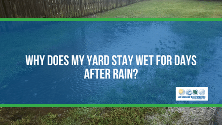 Why Does My Yard Stay Wet for Days After Rain?